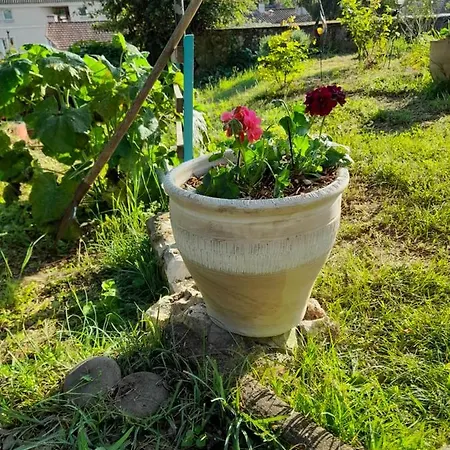 Δωμάτια σε οικογενειακή κατοικία La Terrasse *