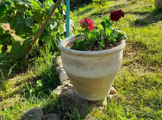 Ubytování v soukromí La Terrasse *